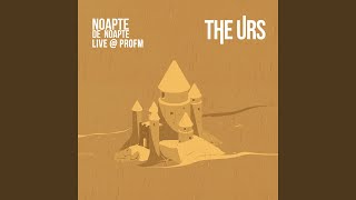 Noapte de noapte Live  Profm [upl. by Adnauqahs]