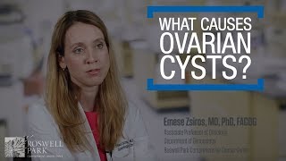 What Can Cause Ovarian Cysts [upl. by Nairret]