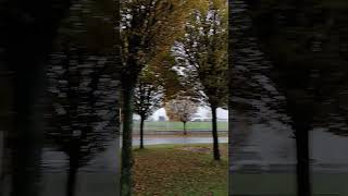 Autumn In Finglas dublin ireland shorts [upl. by Marigold]