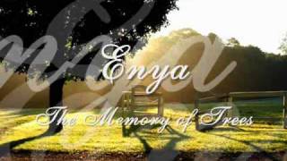 Enya  The Memory of Trees [upl. by Bendite]