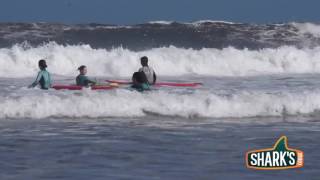 Sharks Surf in Peniche Portugal [upl. by Minette86]