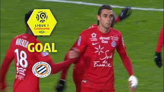 Goal Ellyes SKHIRI 33  Amiens SC  Montpellier Hérault SC 11  201718 [upl. by Cypro]