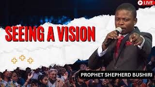 SEEING A VISION  Shepherd Bushiri [upl. by Smiga]