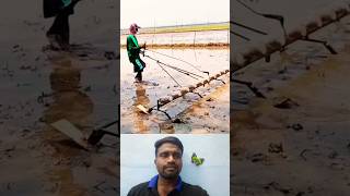 🤔விதை விதைக்க சூப்பர் ஐடியா⁉️  Super Farm Idea💯 trending seedsowing tipsandtricks ideas shorts [upl. by Stochmal]