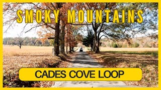 Cades Cove Loop In the Smokies A Drive You Have to See to Believe [upl. by Parke802]