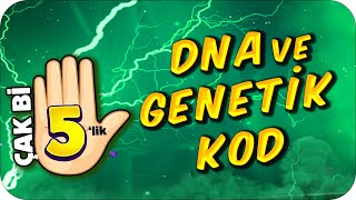 DNA ve Genetik Kod 🖐🏻 5 Dakikada Net Artırma Garantili [upl. by Ybab]