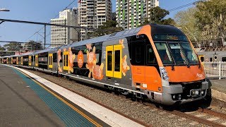 Sydney Trains Vlog 1480 Series 2 Waratah B2 New Livery [upl. by Caylor813]