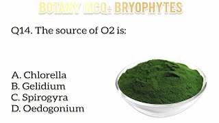 Top biology mcq practice  Bryophyta  Botany mcq  Liverworts amp mosses mcq [upl. by Eelrihs]