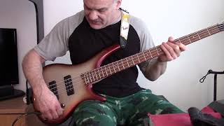 Ibanez SR300E Bass Review Is it the best bang for the buck [upl. by Brout]