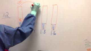 Serial Dilution Calculation [upl. by Jehias]