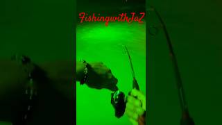 Trout action in Arroyo City TX 956 fishing fish arroyo saltwater fun [upl. by Asilrak]