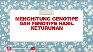 Cara Menghitung Genotipe dan Fenotipe Hasil Keturunan dengan Diagram Garpu  Materi Biologi Kelas 12 [upl. by Conn125]