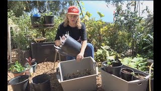 NO COMPOST Piles for ME DUMP amp PLANT NOW on TOP Back to Eden Woodchips Garden [upl. by Namlas]