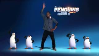 Penguins Dance [upl. by Edmund]