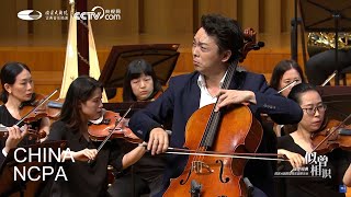 Variations on a Rococo Theme Op 33 YUAN Ding LiWei Qin and NCPAO [upl. by Lenci]