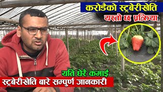 स्ट्रबेरीबाट नसोचेको कमाई  Strawberry Farming In Nepal 2021  Jankari Kendra  Agriculture Update [upl. by Oag589]