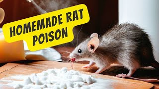 Homemade Rat Poison Get Rid of Mice in One Hour with Baking Soda and Cheese [upl. by Dion148]