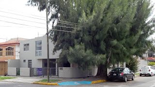 CASA EN VENTA EN CAMINO REAL ZAPOPAN 480 Mts [upl. by Nagiem]