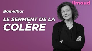 Bamidbar  le serment de la colère par SylvieAnne Goldberg [upl. by Munt974]