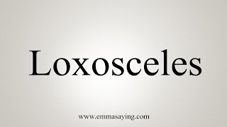 How To Say Loxosceles [upl. by Pollux]