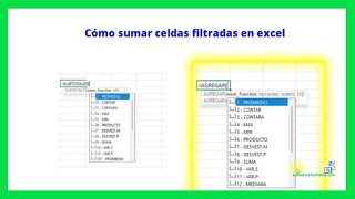 Copiar Datos Filtrados en Excel [upl. by Hurleigh]