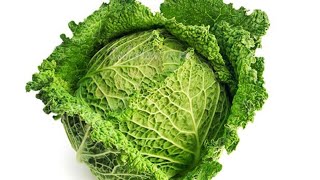 What is savoy cabbage [upl. by Eniaj]