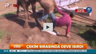 Çekim sırasında deve ısırdı  A Haber [upl. by Bonnibelle669]