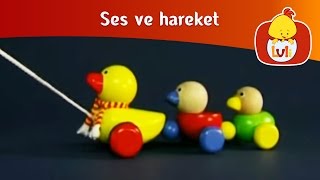 Ses ve hareket  Ağaçkakan Luli TV [upl. by Makell]