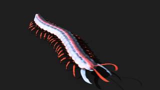 Centipede Animation Test  Blender Animation  Primeval Revelations [upl. by Gurevich]