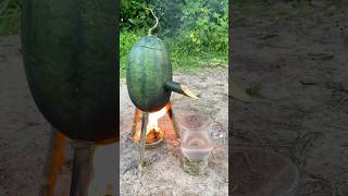 Survival Skills SIMPLE and USEFUL with steam bad water in watermelon bushcraft camping outdoors [upl. by Peedsaj]