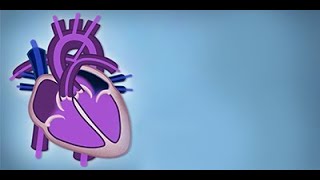 Fetal Circulation by L McCabe  OPENPediatrics [upl. by Iroj]