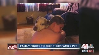 Bonner Springs Kan city ordinance to take away family dog [upl. by Ognimod]