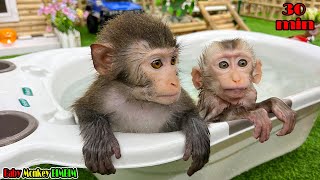 BIM BIM Goes To The Supermarket And Bathes The Baby Monkey MORE [upl. by Py]