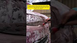 Detailing The CHEAPEST But Most EFFECTIVE Cleaning Foam EVER… 86 asmr shorts cleancar [upl. by Lubba]