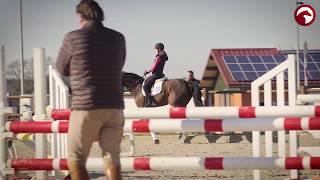 Kathleen Keller  Lektionen Teil 2  Deutsche Bank Reitsport Akademie [upl. by Analra]