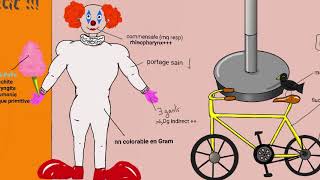 APPRENDRE MYCOPLASMA PNEUMONIAE EN MOINS DE 5 MINUTES  BACTISTORY [upl. by Araccat739]