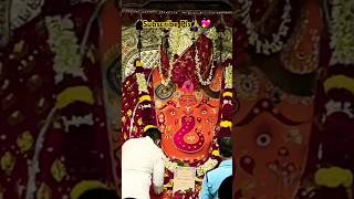 Ganpati Bappa Morya  SADDA DIL VI TU  shortsfeed ganpatishorts happyganeshchaturthi ytshorts [upl. by Suellen391]