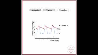 Impella physiology short [upl. by Kcerred]