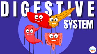 Digestive System Ingestion to Egestion Explained in Simple Words [upl. by Sabine]