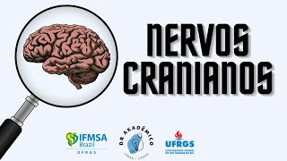 Nervos Cranianos  por Amalia Neumann [upl. by Assi]