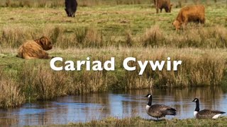 Cariad Cywir [upl. by Nigel]