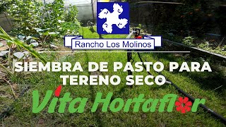 Siembra de pasto para terreno seco [upl. by Lua]