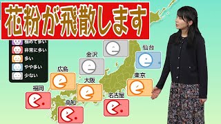 【花粉飛散予想】日差し届き花粉の飛散に注意 [upl. by Bihas]