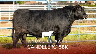 EL SAUZ CANDELERO 58K [upl. by Greeson]