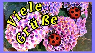 Blumen  Grüße zu Pfingsten  Julebuergerfee [upl. by Kerrill559]