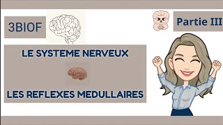 Le système Nerveux  Les Réflexes Médullaires  Partie III  SVT  3APIC [upl. by Hope]