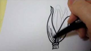 Learn To Draw Online  Graphic Art Drawings Corn Cob Tutorial [upl. by Melodie]