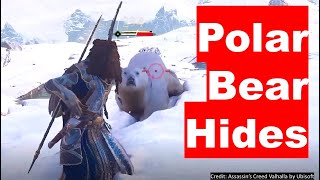 FASTEST AC Vallhalla Polar Bear Hide Farming Location Assassins Creed Hunter Deliveries Artic Fox [upl. by Ahouh]