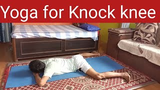 Yoga for Knee Pain  yogaandfitnesswithshiva viral youtube foryou yoga trending [upl. by Nosnaj]