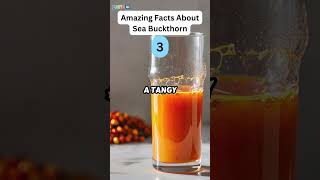 5 Amazing Facts About Sea Buckthorn zapetv fruit facts [upl. by Niccolo849]